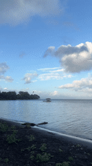 Lakeside scenes from Ometepe Island's dark volcanic shore