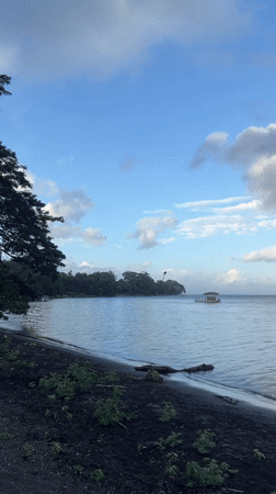 Lakeside scenes from Ometepe Island's dark volcanic shore