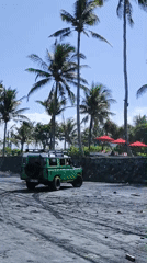 Green Land Rover parked on Indonesian beach amid palms
