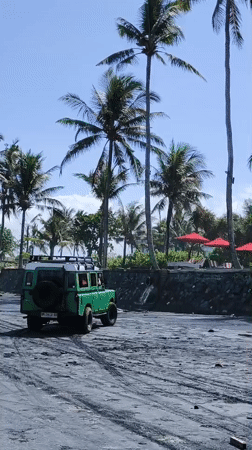Green Land Rover parked on Indonesian beach amid palms