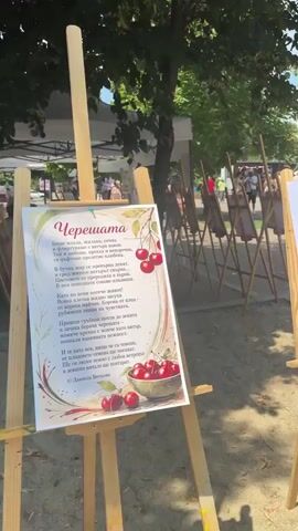 This is a horizontal, medium shot video taken outdoors on a sunny day, showing several paintings displayed on wooden easels arranged in a row. In the foreground, on the left, a painting is displayed on an easel, featuring a poem and an illustration of cherries in a bowl. To its right, another easel holds a painting of a cluster of bright red cherries. Further to the right, a third easel displays a painting of pink flowers in a pot next to a small pile of yellow cherries, with a checkered tablecloth underneath. The background reveals more easels with blank or partially obscured paintings, suggesting an art exhibition or outdoor art market. Trees with green foliage are visible behind the easels, and a few people are present in the distance, blurred. The ground is covered with gravel and some fallen leaves.