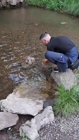 A man in a black shirt and blue pants kneels by the edge of a shallow stream in a natural setting. The stream flows over a rocky bed, and on the right side, there is a small waterfall cascading over moss-covered rocks into the stream. Lush green vegetation grows along the bank and behind the waterfall, suggesting a wooded or natural area. The water appears clear, with pebbles and rocks visible beneath the surface. The man is looking down at the water, and his hands are submerged in it, as if he is touching or interacting with the water. The overall impression is one of peaceful interaction with nature. The time of day is not explicitly stated, but the lighting suggests it could be daytime, possibly late morning or afternoon. The weather appears to be pleasant, as the man is dressed in light clothing and is comfortable being outdoors. The location cues of the stream, waterfall, and vegetation point to a natural environment, consistent with the provided location context of Lokorsko, Bulgaria. There is no visible text in the media file.