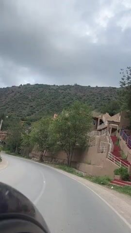 The video captures a first-person perspective from a vehicle moving along a winding road in Taljarft, Morocco. The scene is dominated by a lush green mountainous landscape under a cloudy, overcast sky. To the right, a multi-story building with balconies is constructed into the hillside, fronted by a beige retaining wall. To the left, various trees line the road, including a large willow-like tree with drooping branches. Several buildings with distinct architecture, including some with blue gates, are scattered along the roadside. Parked cars are visible on the left side of the road, and a small dog briefly appears near a blue gate on the right. The road itself is asphalt, curving to the left, suggesting a journey through the mountainous terrain. No text is visible in the video.