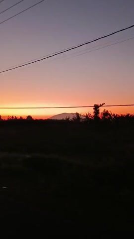 The video shows a landscape at sunset. The sky transitions from a dark blue-purple at the top to a bright orange at the horizon. In the distance, a mountain range is silhouetted against the setting sun. In the foreground, a dark, dense field of vegetation fills the lower half of the frame. Utility poles and wires run across the top of the view, occasionally passing in the foreground. The camera appears to be moving, capturing the scene from a passing vehicle.