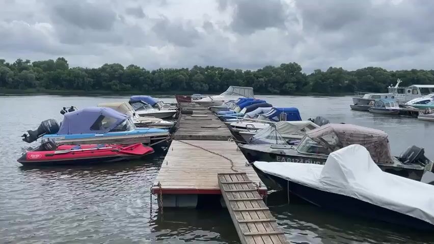 A wide shot captures a marina on a cloudy day. A wooden dock extends into the water, lined with numerous boats of various sizes and colors, most covered with tarps. On the left side of the dock, a red inflatable dinghy is tied up alongside a white boat with a blue canopy. Several other motorboats are moored along the dock, some with their canopies up and others covered. In the background, a lush green treeline borders the river. Further out on the water, a few larger boats, including a white passenger boat and a dark blue boat, are visible. The water is calm, reflecting the overcast sky. The overall scene suggests a quiet day at a boat docking facility.