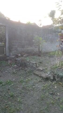 A low-angle, handheld shot pans slowly across a yard with a cinder block wall in the background. Plants grow in a raised bed of rocks in the foreground. Sunlight filters through trees on the right side of the frame.