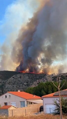 This is a vertical video showing a massive wildfire raging on a hillside in the distance. A huge plume of thick, dark smoke billows into the bright blue sky, obscuring much of the upper portion of the frame. Below the smoke, flames are visible cresting the top of the hill, indicating the fire's active front. The terrain appears rocky and arid, with sparse vegetation. In the foreground, the rooftops of several residential buildings are visible, characterized by red-tiled roofs. A few trees with green foliage are situated between the houses and the burning hillside. The overall scene depicts a serious wildfire event threatening populated areas.