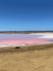 Pink salt lake documented near Pampatar, Venezuela
