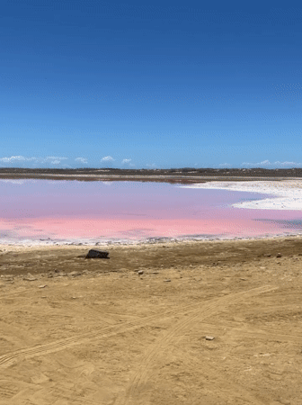 Pink salt lake documented near Pampatar, Venezuela