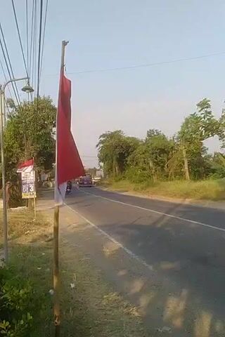 A red and white flag is planted on a bamboo pole on the side of a road. The flag is partially unfurled and appears to be hanging limp. A road stretches into the distance with trees lining both sides. A purple bus is driving down the road. A young man wearing a dark t-shirt and shorts walks along the side of the road away from the camera. Another smaller red and white flag is visible in the background on a separate pole next to a sign. The sky is clear and the sun appears to be shining.