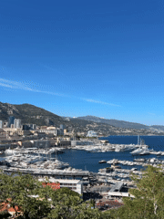 Monaco harbor bustling with yachts captured in afternoon footage