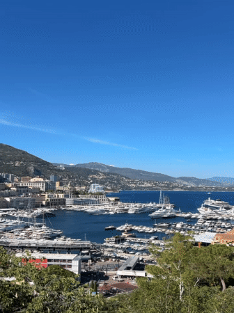 Monaco harbor bustling with yachts captured in afternoon footage