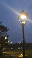 Evening scenes captured around Xuan Huong Lake, Da Lat