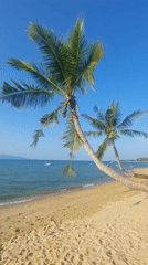 Peaceful beach morning documented at Baan Mae Nam, Thailand