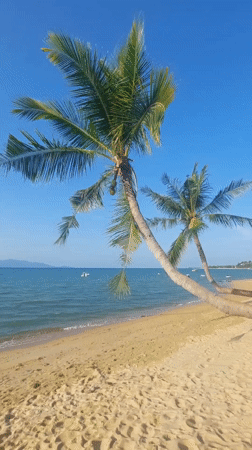 Peaceful beach morning documented at Baan Mae Nam, Thailand