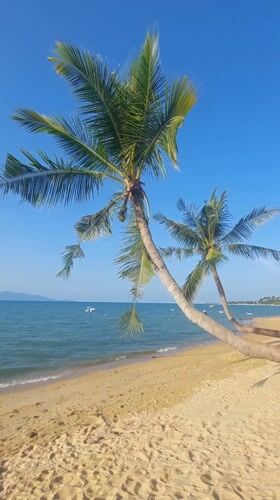 Peaceful beach morning documented at Baan Mae Nam, Thailand