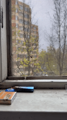 Moscow residents observe urban landscape through windows during overcast morning