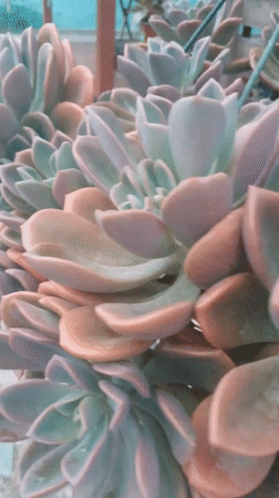 Evening street life documented in Tinaquillo, Venezuela