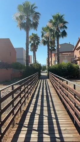 The video shows a wooden pedestrian bridge with wooden railings on either side. The bridge is constructed from wooden planks laid across joists. The sun casts long, distinct shadows of the railings onto the bridge deck, creating a striped pattern. Tall palm trees with green fronds are visible on both sides of the bridge, extending into the frame. In the background, buildings with red and beige facades can be seen, as well as green bushes. The sky is clear and blue. The camera is positioned at one end of the bridge, looking down its length towards the distant buildings and sky. The scene appears to be outdoors in a sunny climate, possibly a town or a suburban area with vegetation.