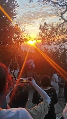 This is a video clip filmed at sunset in Chengjiang, China. The camera angle is tilted, looking upwards towards a vibrant sunset through silhouetted trees. The sun is low on the horizon, casting long, orange light beams across the scene. Several people are gathered, some are seen from behind, others are partially visible. They appear to be observing or photographing the sunset. One person in the foreground is holding up a smartphone to capture the view. The sky is filled with dramatic clouds, illuminated by the setting sun. The overall mood seems to be one of shared appreciation for the natural beauty of the sunset. The people are dressed casually, and the setting appears to be an outdoor, elevated vantage point, possibly a hill or mountain. The time of day is clearly sunset. The weather appears clear, allowing for a spectacular view of the sun. There is no visible text in the clip.