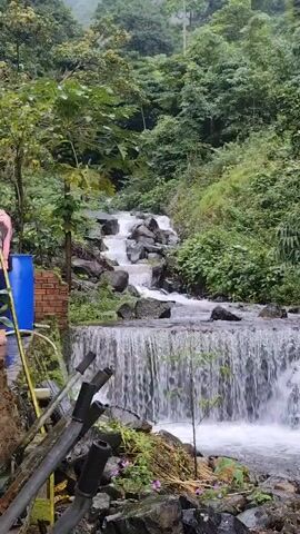 A tiered waterfall flows over rocks in a lush, green environment. The water cascades down in two main sections, with smaller streams and rivulets feeding into it. Dense foliage, including trees and bushes, surrounds the waterfall, creating a natural and somewhat wild atmosphere. In the foreground, there are some man-made elements, including exposed pipes and a brick structure, suggesting the proximity of human activity. A blue barrel is also visible to the left of the waterfall. The overall impression is one of a serene natural setting with a touch of human intervention.