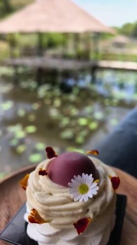 Morning pastries and pond vibes at a Ko Samui café