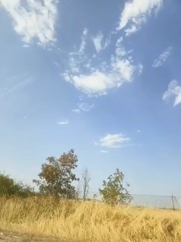 The video displays a landscape with a bright blue sky filled with white clouds. In the foreground, there is dry grass and green bushes. The camera appears to be moving forward, as evidenced by the slight blur and shifting perspective of the vegetation.