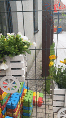 Neighborhood walk documented through multiple street scenes and observations