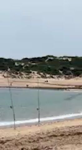 The video opens with a wide shot of a tranquil coastal scene. In the foreground, two fishing rods are planted in the damp, dark sand of a beach, leaning towards the water. Gentle, light blue-green waves lap at the shore of a bay. Across the bay, sandy dunes covered with sparse green vegetation can be seen, with a few indistinct dark shapes visible near the water's edge. The sky is a hazy, light blue.

The camera then slowly pans to the right. As it moves, the fishing rods exit the frame, and the foreground transitions to drier, lighter-colored sand. The pan continues, revealing more of the sandy beach and dunes.

The shot concludes with a view of a tall, white, cylindrical lighthouse standing prominently on a distant sandy rise. To its left, a smaller, slender dark tower is also visible. There appear to be some low-lying structures or buildings near the base of the lighthouse. The scene depicts a serene daytime coastal landscape in Barbate, Spain, with no people clearly visible.