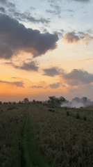 Golden sunset illuminates Mengwi rice fields, Indonesia