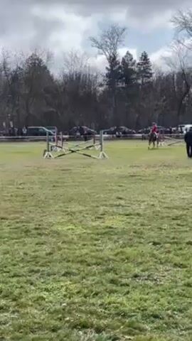The video shows a horse and rider jumping over several obstacles in a field. The horse is brown, and the rider is wearing a red jacket and helmet. There are several obstacles set up in the field, including bars and stands. The field is grassy, and there are trees in the background. The camera follows the horse and rider as they go around the course. There are spectators standing along the perimeter of the field.