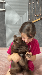 Girl tenderly holds Chihuahua on bed in Taman, Russia
