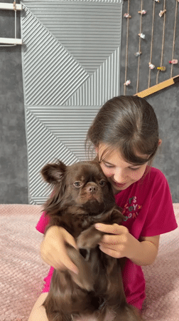 Girl tenderly holds Chihuahua on bed in Taman, Russia