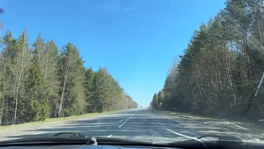 A vehicle is driving on a straight asphalt road. Tall trees line both sides of the road under a clear blue sky. A few vehicles are parked on the shoulder to the left. The road is divided by a solid white line. The view is from inside the vehicle, looking out the windshield.