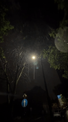 Rainy night scene captured in Riga, Latvia