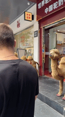 Man walks through Haizhu District streets during morning hours