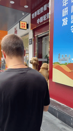 Man walks through Haizhu District streets during morning hours