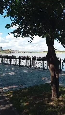 The video shows a picturesque waterfront scene on a bright, sunny day. A paved walkway with a pattern of grey and darker grey rectangular stones runs along the edge of a calm body of water. A black metal fence with a decorative pattern of bicycles separates the walkway from the water. Potted plants, filled with dark flowers, are placed along the top of the fence. In the distance, across the water, a city skyline with buildings and a bridge is visible. The sky is a brilliant blue with fluffy white clouds. A large tree with dark green leaves partially obstructs the view on the right side of the frame. A tall, thin, black lamppost stands on the left side of the walkway, casting a shadow on the stones. The overall impression is one of a well-maintained and pleasant urban park or promenade.