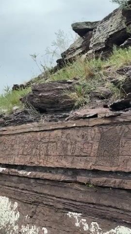 The video shows a close-up view of petroglyphs carved into a layered rock formation. The rock is a deep reddish-brown, with distinct horizontal layers. The petroglyphs are etched into the surface of the rock and depict various figures and symbols, appearing to be ancient drawings of people, animals, and possibly structures. Some of the figures are more detailed than others, with some appearing as simple outlines and others filled with intricate patterns. Green vegetation, including grasses and small bushes, grows in the cracks and crevices of the rock, indicating an outdoor, natural environment. The lighting suggests an overcast day. The camera slowly pans across the rock face, revealing more of the carvings. There are no people or immediate signs of human activity visible in the frame. The focus is solely on the ancient artwork and the natural setting.