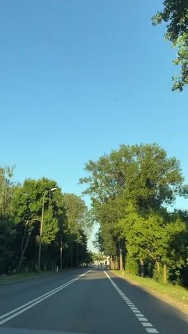This video shows a view from a car driving down a tree-lined road in Pruszków, Poland. The sun is shining, casting long shadows and indicating it is likely late afternoon or early evening. The sky is a clear, bright blue.

The road is asphalt and has double white lines in the center and dashed white lines on the right side, suggesting it's a two-way street. On either side of the road, mature trees with lush green foliage create a canopy, dappling the road with shade. Streetlights are visible along the left side of the road.

In the distance, a few cars are visible, and buildings can be seen lining the road, indicating a suburban or semi-urban setting. The overall mood is peaceful and serene, conveying a sense of a relaxed drive on a pleasant day. There is no visible text in the video.