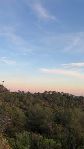 The video showcases a picturesque scene of rolling hills covered in lush green trees, under a sky painted with hues of blue, pink, and white. The landscape transitions from a close-up view of a forested hilltop to a wider shot revealing a valley and distant mountains. The sky is marked with wispy clouds and contrails from airplanes. The overall impression is one of natural beauty and tranquility at dusk or dawn.