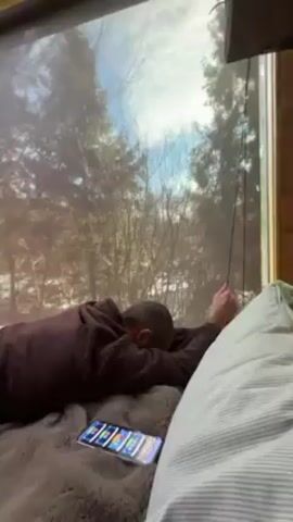 A man lies on his stomach on a bed covered in a fuzzy, brown blanket, with his head oriented towards a large window. He is wearing a dark brown robe. His head is bald. A smartphone lies on the blanket, next to him, its screen displaying multiple icons. A large, striped pillow leans against a wooden wall to the right of the frame. Beyond the window, a snow-dusted forest is visible under a partly cloudy sky. The man reaches out towards the window and pulls down a roller shade.