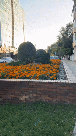 Strolling Astana's summer gardens among flowers and city landmarks