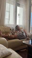 Lazy afternoon moments with dog captured in Budva