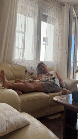 Lazy afternoon moments with dog captured in Budva