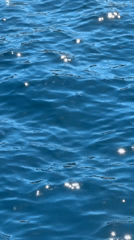 Sunlit water surface captured in Greek coastal municipality