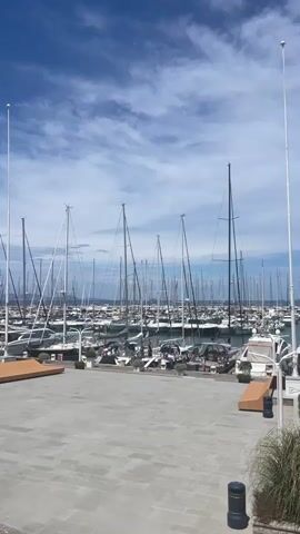 The video shows a marina filled with numerous sailboats and yachts docked under a bright blue sky with scattered clouds. The foreground features a paved area with several modern, minimalist benches made of light-colored wood. To the left, there is a lush, manicured green bush and a small, white building with windows. Further into the scene, there are more green spaces with manicured plants and trees, as well as the buildings of the marina. The masts of the sailboats create a dense, vertical pattern against the sky. The water in the marina appears calm. The overall scene is one of a well-maintained, upscale marina on a clear day. There are no people visible in the video.