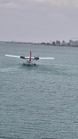A seaplane taxis across the water toward a dock lined with similar seaplanes. In the background, a city skyline is visible under a cloudy sky. The first seaplane is white with red accents. As the plane approaches the dock, the camera angle shifts, revealing another seaplane in the foreground, also white with red accents. This one is closer to the camera and appears to be parked. The docks are lined with seaplanes of the same type, all docked and waiting.