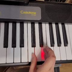 Domestic life documentation: jewelry, music practice, home repairs in Podolsk