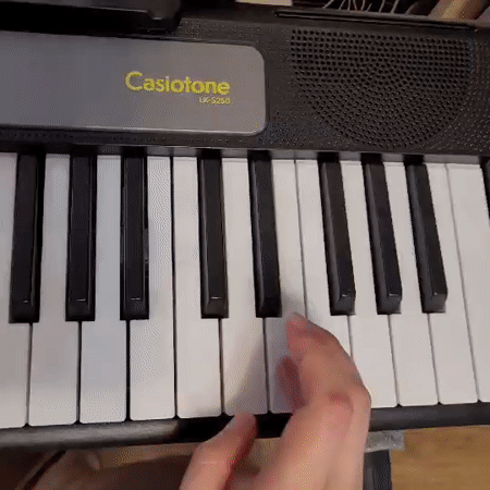 Domestic life documentation: jewelry, music practice, home repairs in Podolsk